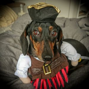 Louie's Pirate Costume